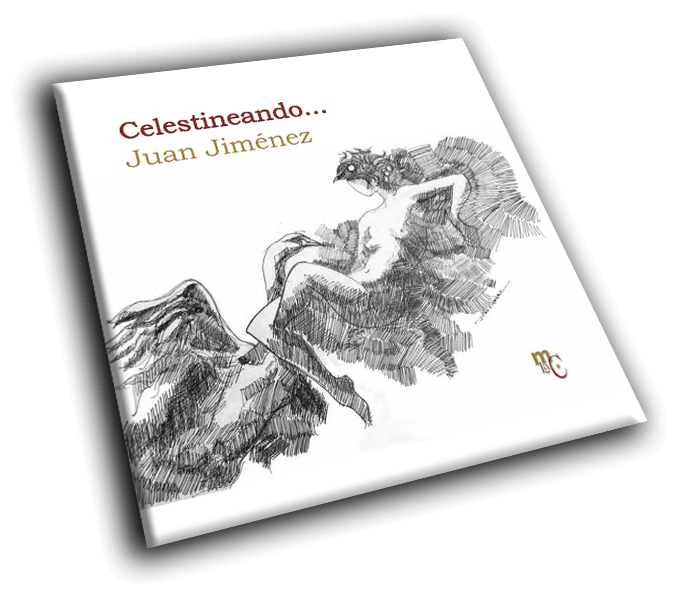 diseño de Alonso de Sousa