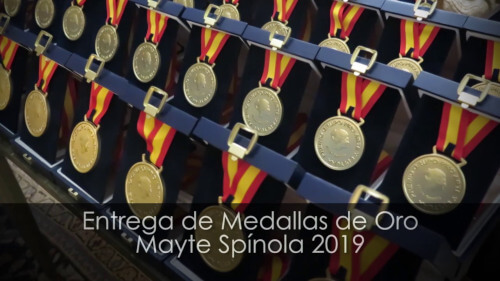 link al video